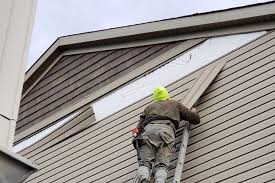 Best Siding Removal and Disposal  in Jasper, FL